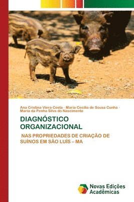 Diagnstico Organizacional 1