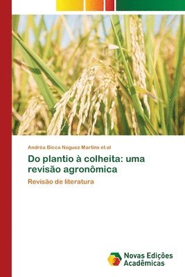 Do plantio  colheita 1