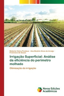 Roberto Vieira Pordeus, Ana Beatriz Alves de Araújo, Francisco De Souza - Irrigação Superficial, Häftad