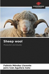 bokomslag Sheep wool