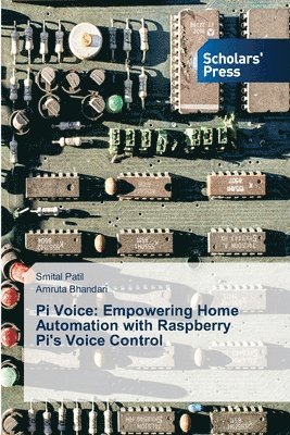 Pi Voice 1