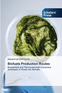 bokomslag Biofuels Production Routes