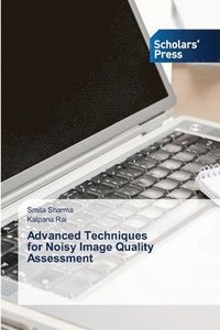 bokomslag Advanced Techniques for Noisy Image Quality Assessment