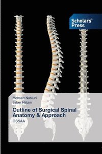 bokomslag Outline of Surgical Spinal Anatomy & Approach