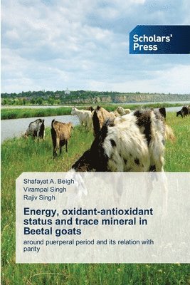 bokomslag Energy, oxidant-antioxidant status and trace mineral in Beetal goats