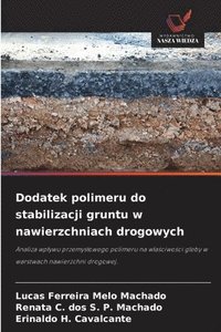 bokomslag Dodatek polimeru do stabilizacji gruntu w nawierzchniach drogowych