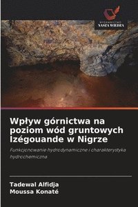 bokomslag Wplyw górnictwa na poziom wód gruntowych Izégouande w Nigrze