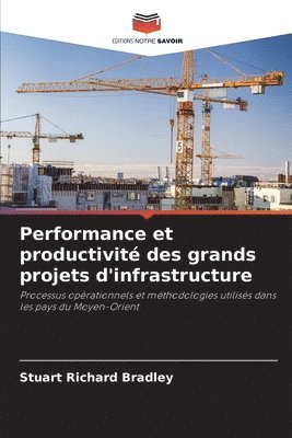 bokomslag Performance et productivité des grands projets d'infrastructure