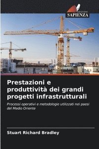 bokomslag Prestazioni e produttività dei grandi progetti infrastrutturali