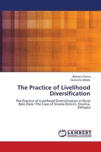 bokomslag The Practice of Livelihood Diversification