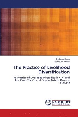 The Practice of Livelihood Diversification 1
