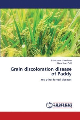 Grain discoloration disease of Paddy 1