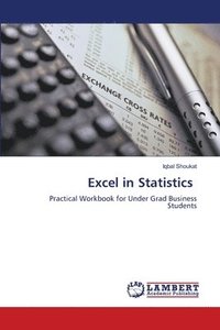 bokomslag Excel in Statistics