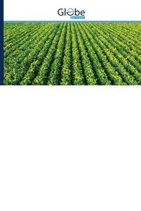 bokomslag Rainfall Variability and Climatological Risks for Soybean Cultivation