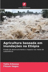 bokomslag Agricultura baseada em inundações na Etiópia