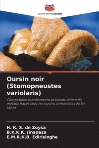 bokomslag Oursin noir (Stomopneustes variolaris)