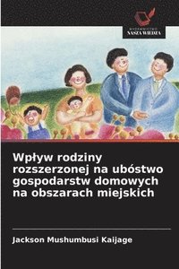bokomslag Wplyw rodziny rozszerzonej na ubóstwo gospodarstw domowych na obszarach miejskich