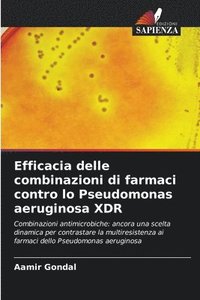 bokomslag Efficacia delle combinazioni di farmaci contro lo Pseudomonas aeruginosa XDR