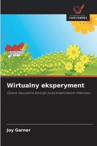 bokomslag Wirtualny eksperyment