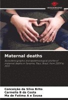 bokomslag Maternal deaths