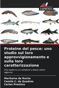 bokomslag Proteine del pesce: uno studio sul loro approvvigionamento e sulla loro caratterizzazione