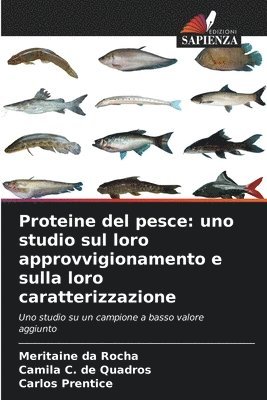 bokomslag Proteine del pesce: uno studio sul loro approvvigionamento e sulla loro caratterizzazione