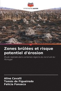 bokomslag Zones brûlées et risque potentiel d'érosion