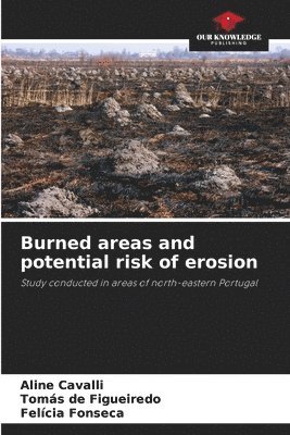 Aline Cavalli, Tomás de Figueiredo, Felícia de Figueiredo, Tomás, Fonseca - Burned areas and potential risk of erosion, Häftad
