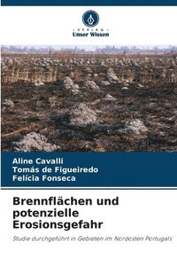 bokomslag Brennflächen und potenzielle Erosionsgefahr