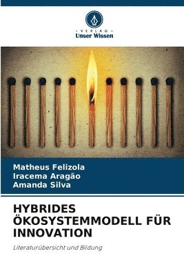 Matheus Felizola, Iracema Aragão, Amanda Silva - Hybrides Ökosystemmodell Für Innovation, Häftad