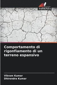 bokomslag Comportamento di rigonfiamento di un terreno espansivo