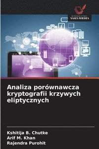 bokomslag Analiza porównawcza kryptografii krzywych eliptycznych