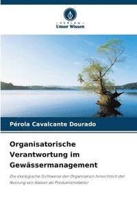 bokomslag Organisatorische Verantwortung im Gewässermanagement