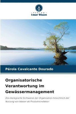 bokomslag Organisatorische Verantwortung im Gewässermanagement
