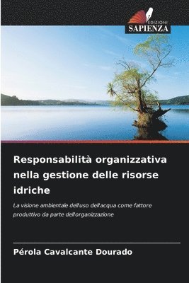 bokomslag Responsabilità organizzativa nella gestione delle risorse idriche