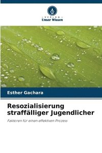 bokomslag Resozialisierung straffälliger Jugendlicher