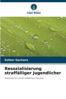 bokomslag Resozialisierung straffälliger Jugendlicher