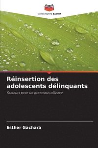 bokomslag Réinsertion des adolescents délinquants