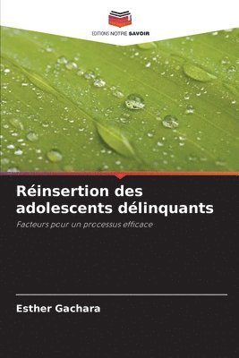 bokomslag Réinsertion des adolescents délinquants