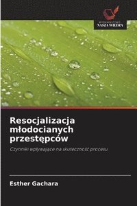 bokomslag Resocjalizacja m¿odocianych przest¿pców