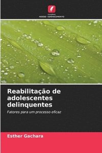 bokomslag Reabilitação de adolescentes delinquentes
