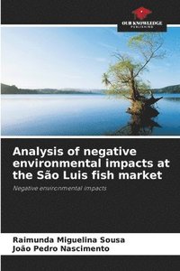 bokomslag Analysis of negative environmental impacts at the São Luis fish market