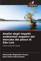 Analisi degli impatti ambientali negativi del mercato del pesce di São Luis