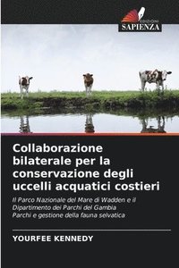 bokomslag Collaborazione bilaterale per la conservazione degli uccelli acquatici costieri