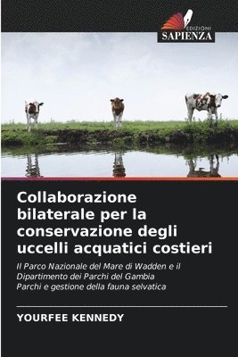 bokomslag Collaborazione bilaterale per la conservazione degli uccelli acquatici costieri
