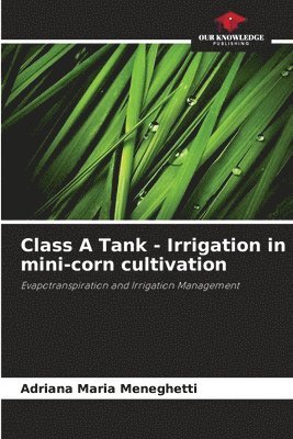 Class A Tank - Irrigation in mini-corn cultivation