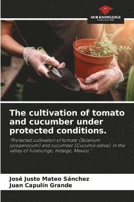bokomslag The cultivation of tomato and cucumber under protected conditions.