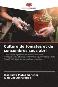 bokomslag Culture de tomates et de concombres sous abri