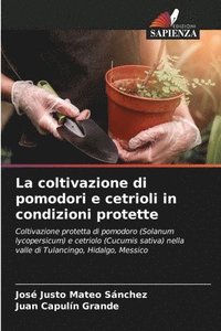 bokomslag La coltivazione di pomodori e cetrioli in condizioni protette