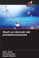 bokomslag Studi sui derivati del piridobenzotiazolo